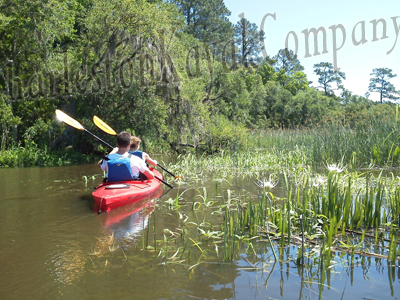 Charleston Travel Guide  Charleston Tourism - KAYAK